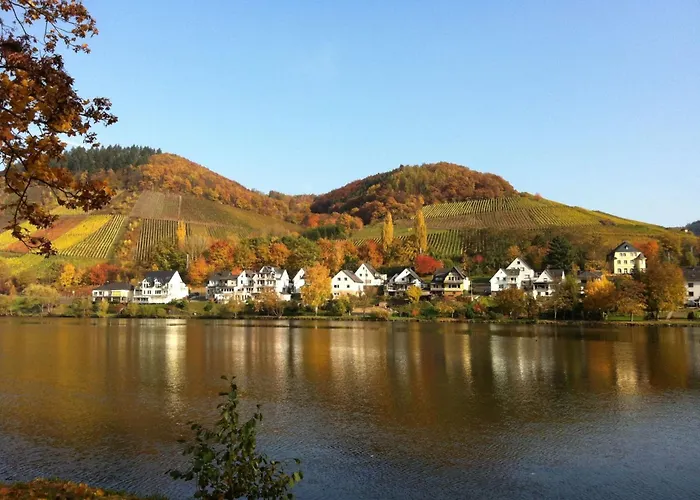 Haus Budinger By Interhome アパート アルフ